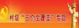 村級三個全覆蓋專題